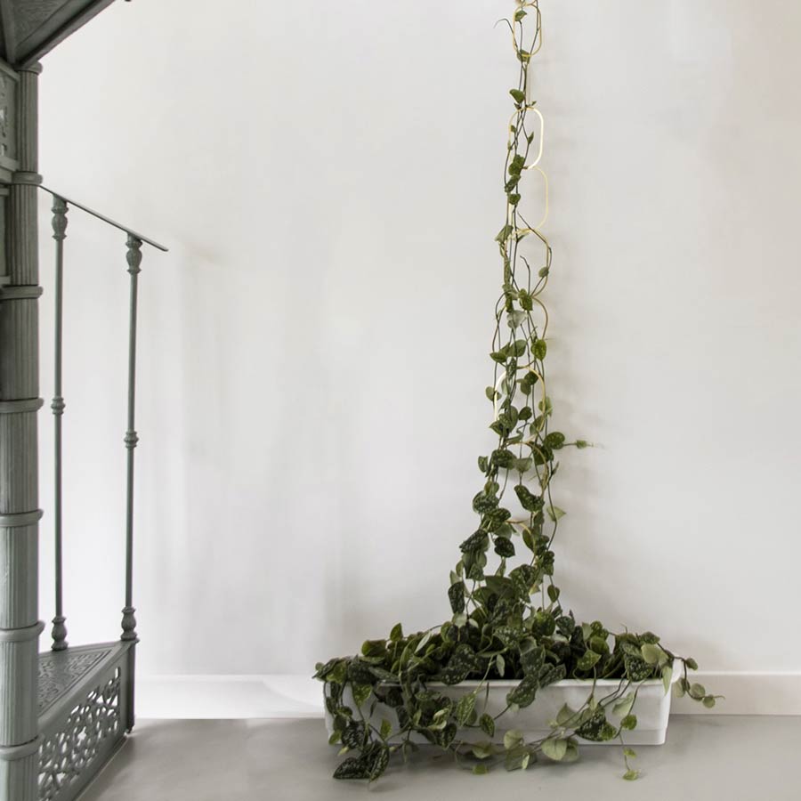 Botanopia-support-treille-laiton-pour-plantes-grimpante-atelier-kumo