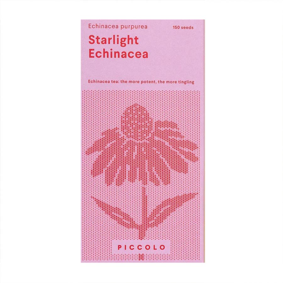 Piccolo-seeds-graines-starlight-echinacea-echinacee-violet-fleurs-Atelier-Kumo