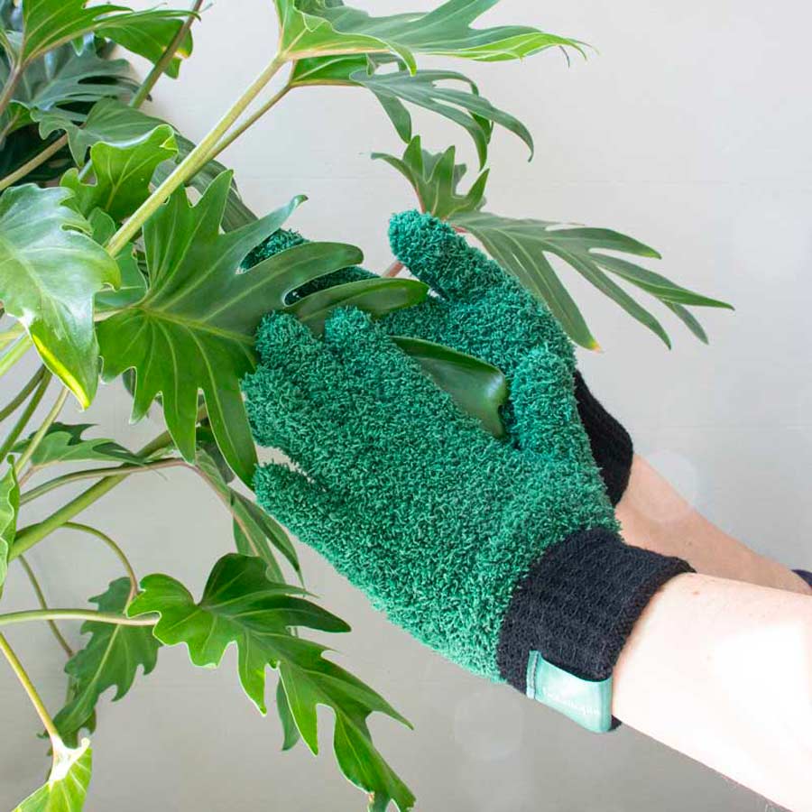Botanopia-gants-jardinage-pour-la-poussiere-des-feuilles-Atelier-Kumo