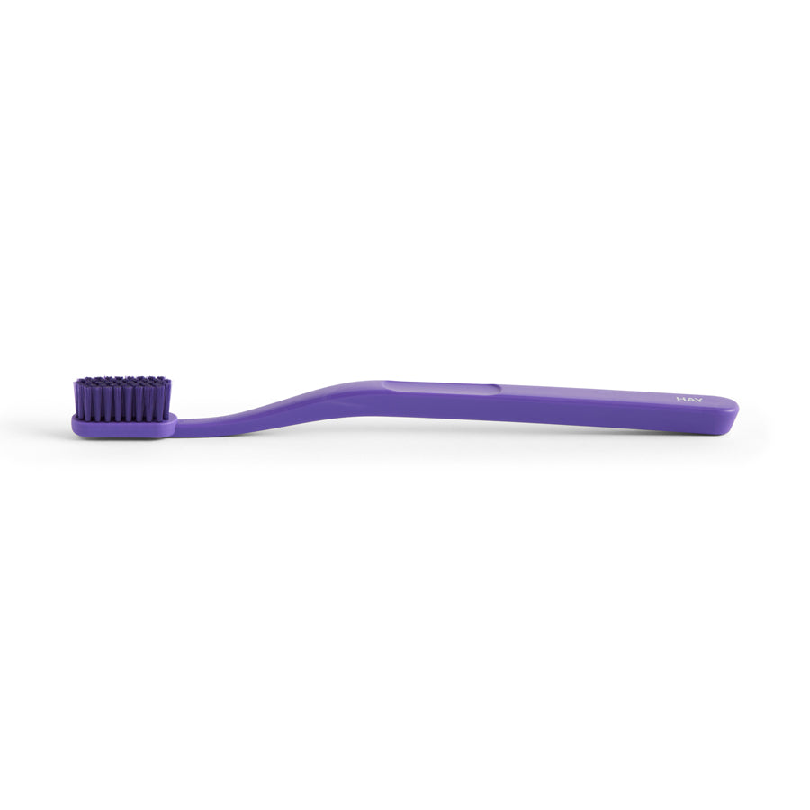 Hay-brosse-a-dents-Tann-violet-Atelier-Kumo
