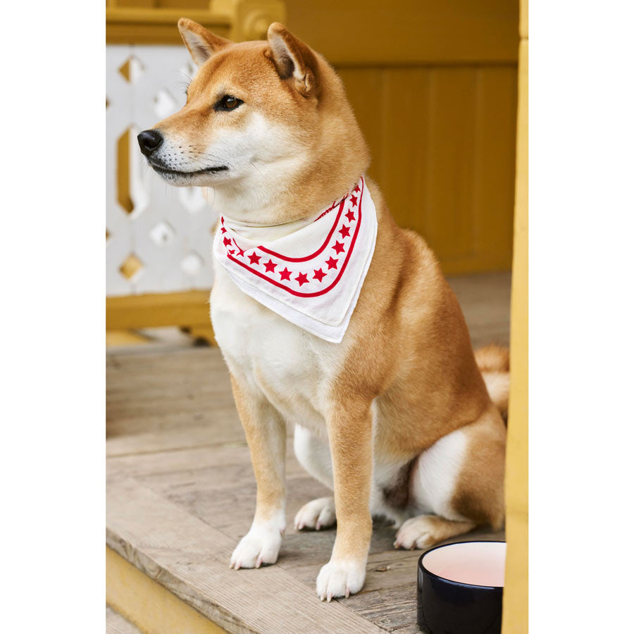 Hay-foulard-chien-blanc-55x55-accessoire-Atelier-Kumo