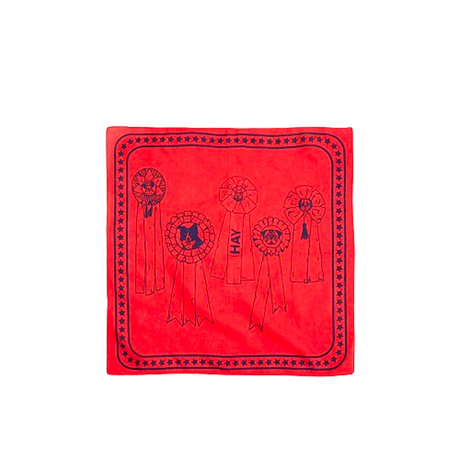 Hay-foulard-chien-rouge-55x55-Atelier-Kumo