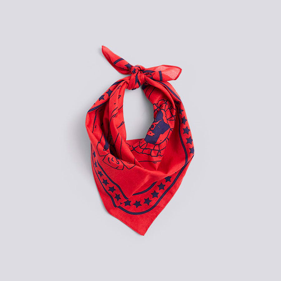 Hay-foulard-chien-rouge-55x55-made-in-danemark-Atelier-Kumo