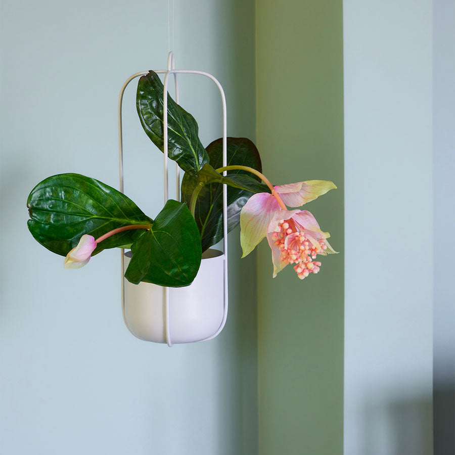 Hubsch-pot-lotus-a-suspendre-gris-clair-plante-Atelier-Kumo