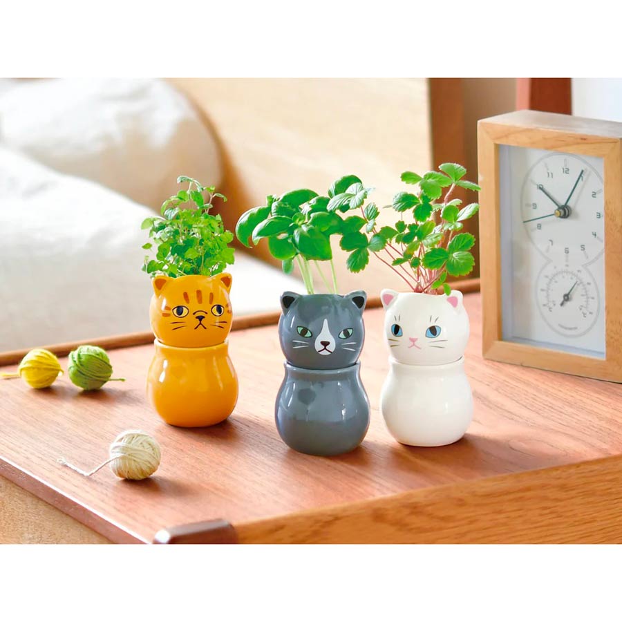 Noted-corocoro-graines-a-plante-chats-ambiance-Atelier-Kumo