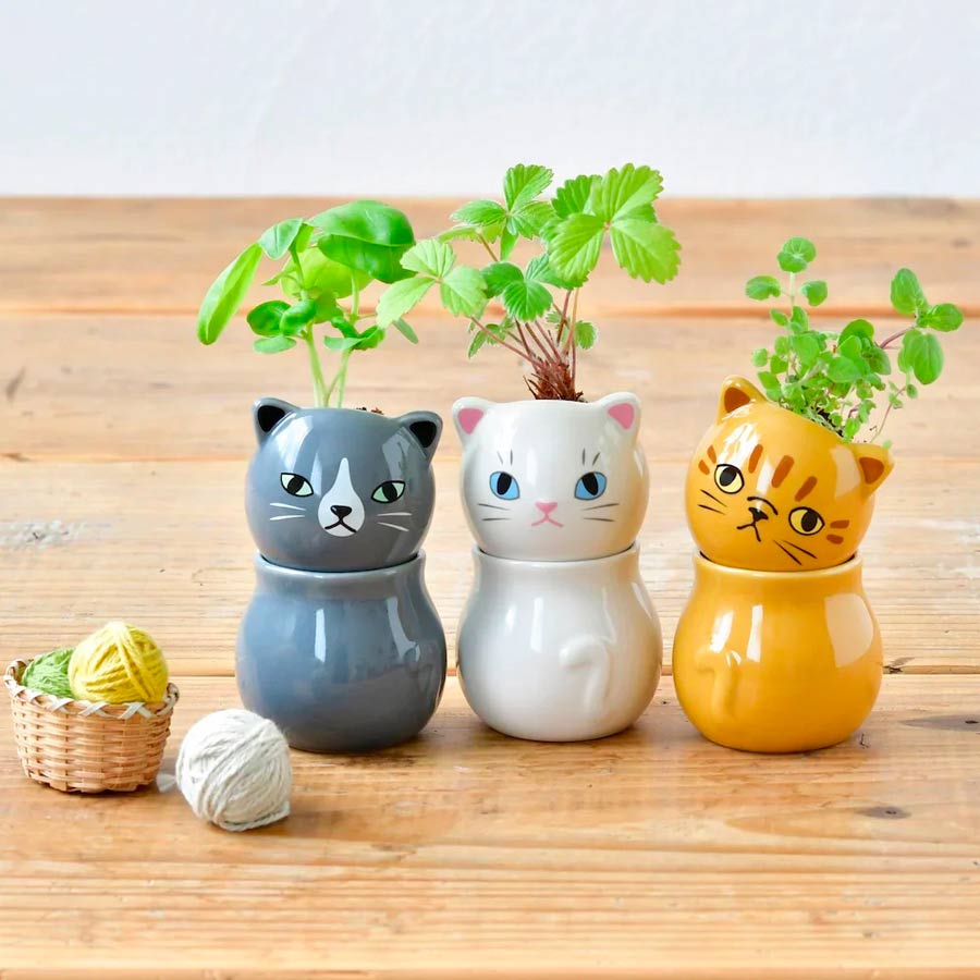 Noted-corocoro-graines-a-plante-chats-trio-ambiance-Atelier-Kumo