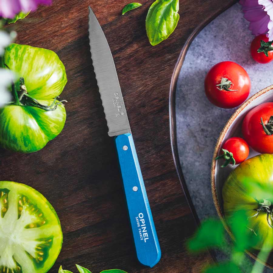 Coffret collection Opinel 10 couteaux | lame inox Coffret collection Opinel 10 couteaux | lame inox