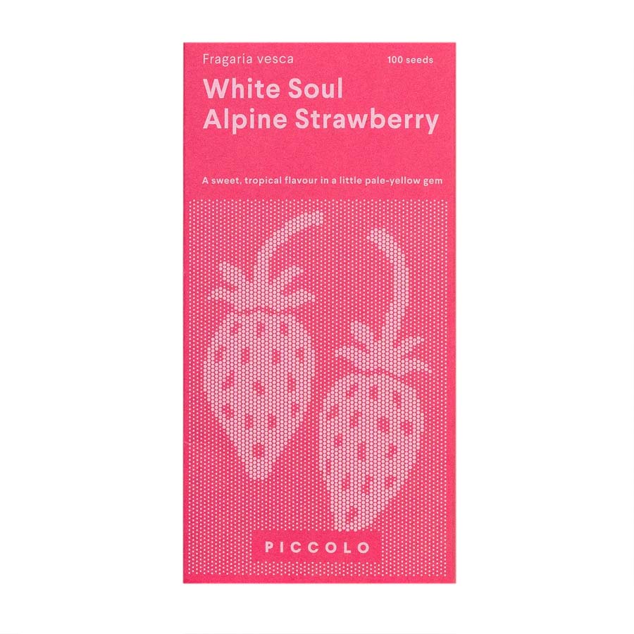 Piccolo-seeds-graines-alpine-strawberry-fraise-blanche-Atelier-Kumo