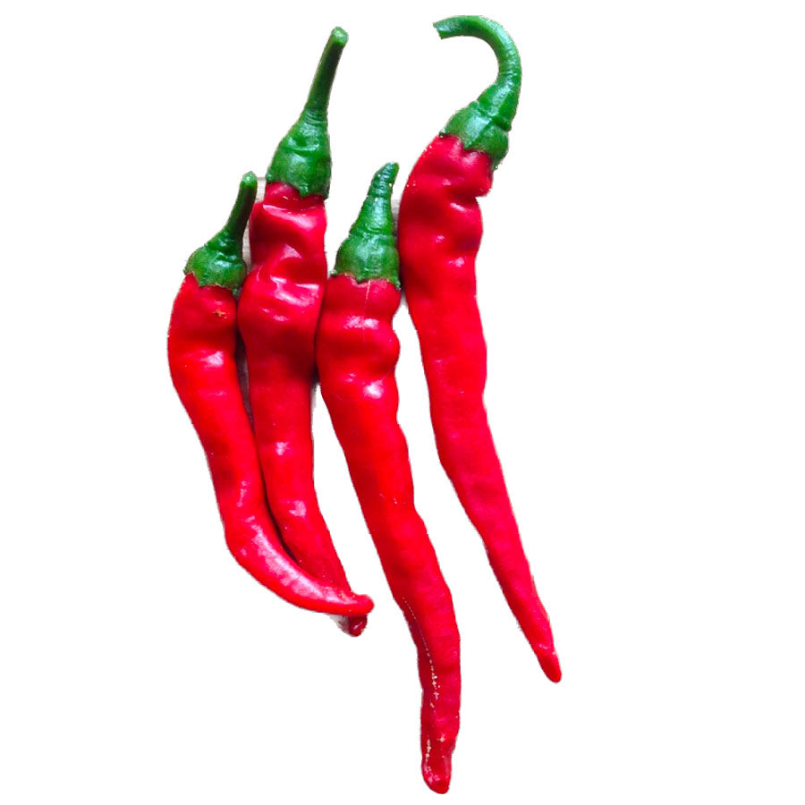 Piccolo-seeds-graines-hot-pepper-cayenne-long-slim-piment-fort-long-fin-Atelier-Kumo