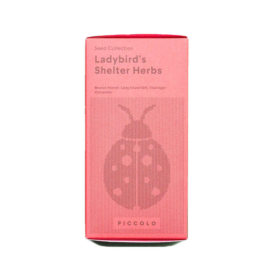 Piccolo-seeds-graines-ladybird-s-shelter-herbs-bronze-fennel-long-island-dill-coriander-fenouil-coriandre-Atelier-Kumo
