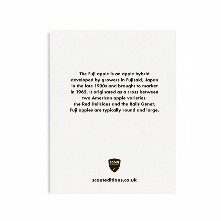 Scout-edition-mini-carte-de-voeux-pomme-Fuji-arriere-Atelier-Kumo