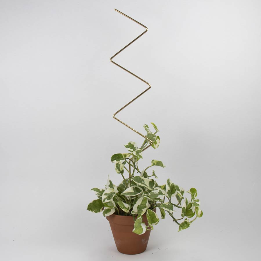 Botanopia-tuteur-zigzag-dore-plantes-atelier-kumo