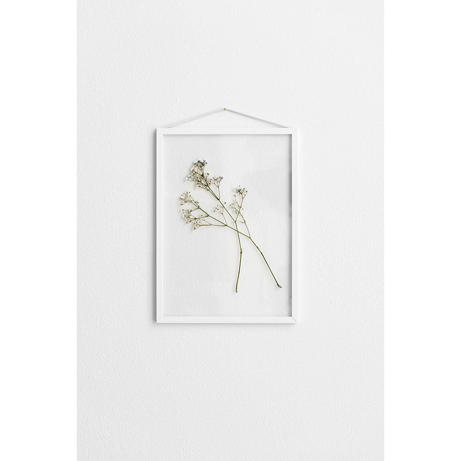 Moebe-cadre-Frame-A4-minimaliste-fleur-seche-blanc-atelier-kumo
